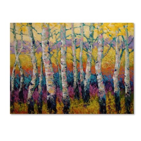Marion Rose 'Autumn Layers' Canvas Art,35x47